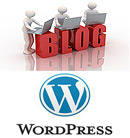 Blog & Wordpress Package