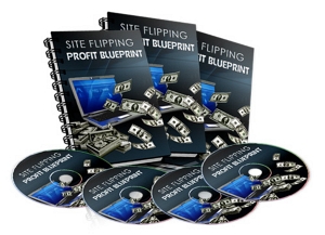 Site Flipping Profit Blueprints