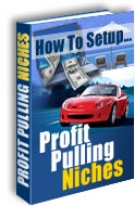 How To Setup Profit Pulling Niches