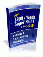 My $900 Week Super Niche Revealed
