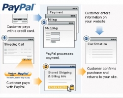 Create A PayPal Custom Payment Page