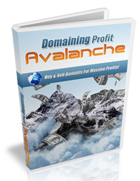 Domain Profits Avalanche